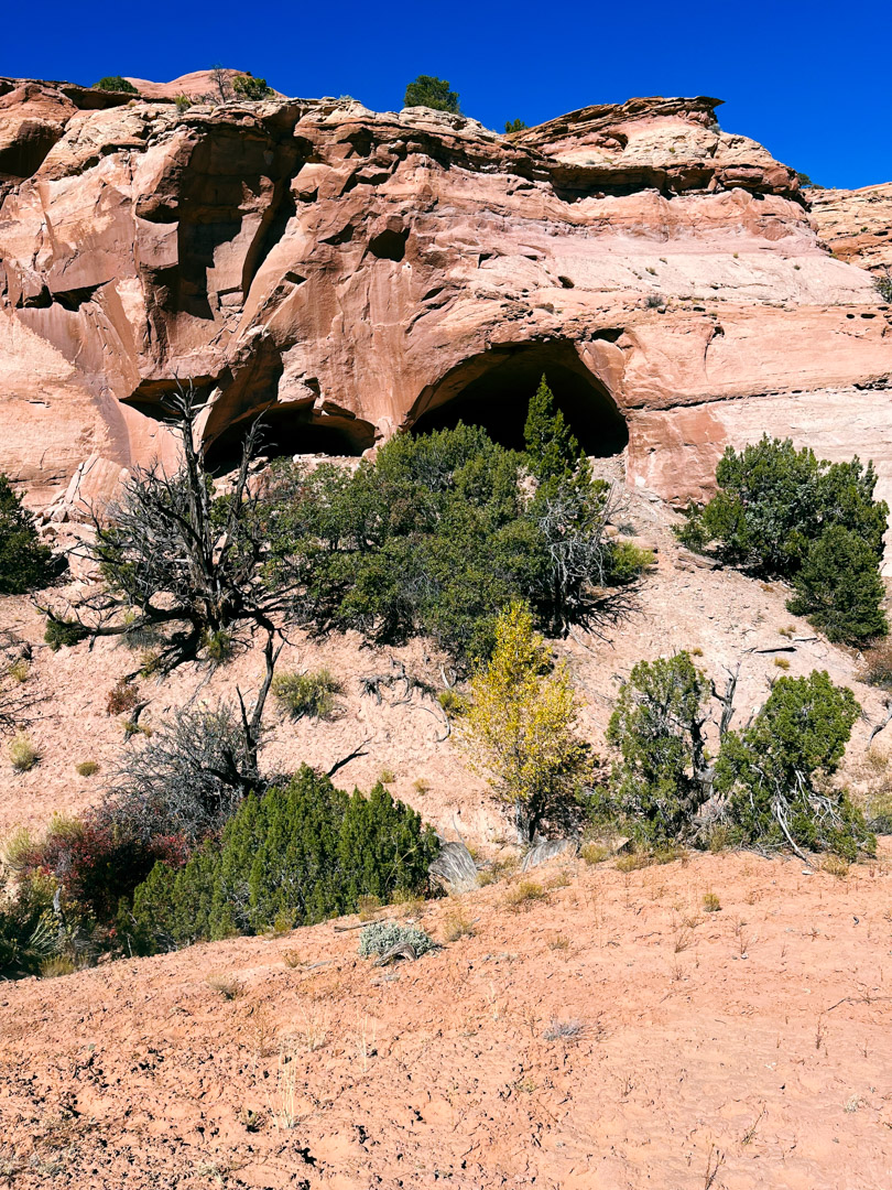 IMG_7982-3.webp